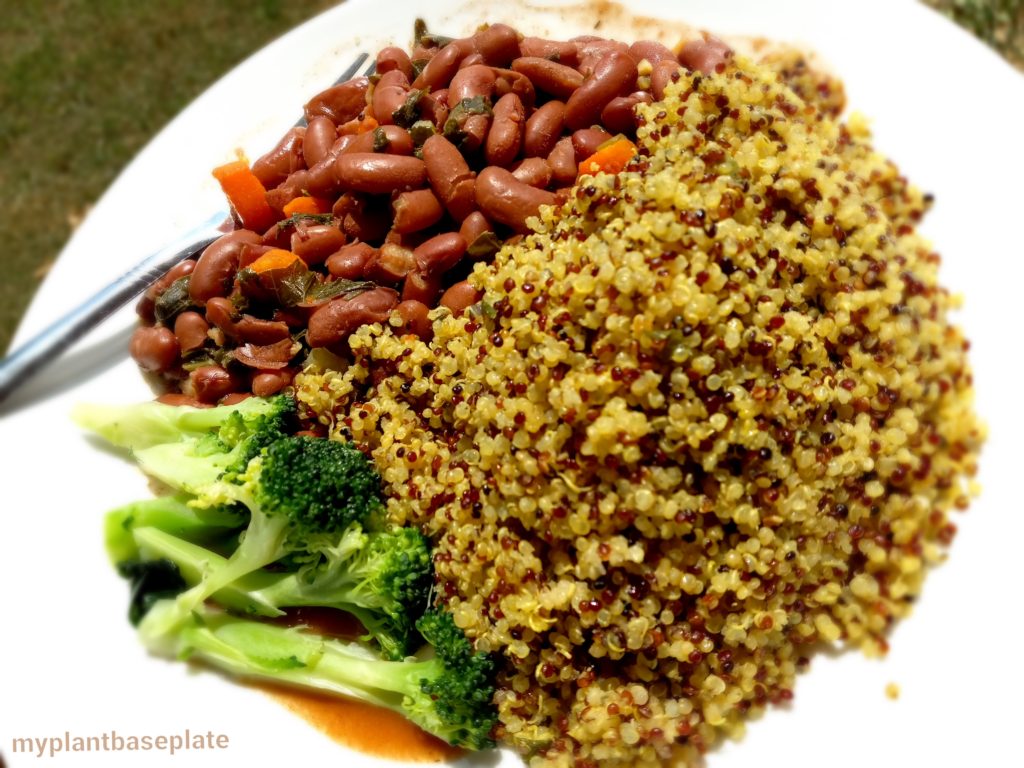 A white plate with cooked tri-color quinoa with steamed broccoli and stewed red beans.