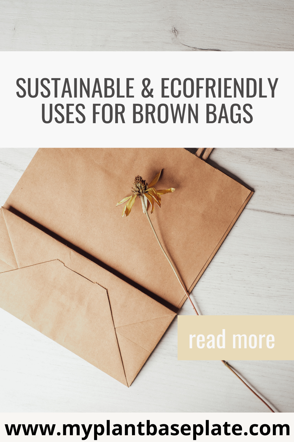 Sustainable/Eco-Friendly Uses For Brown Bags