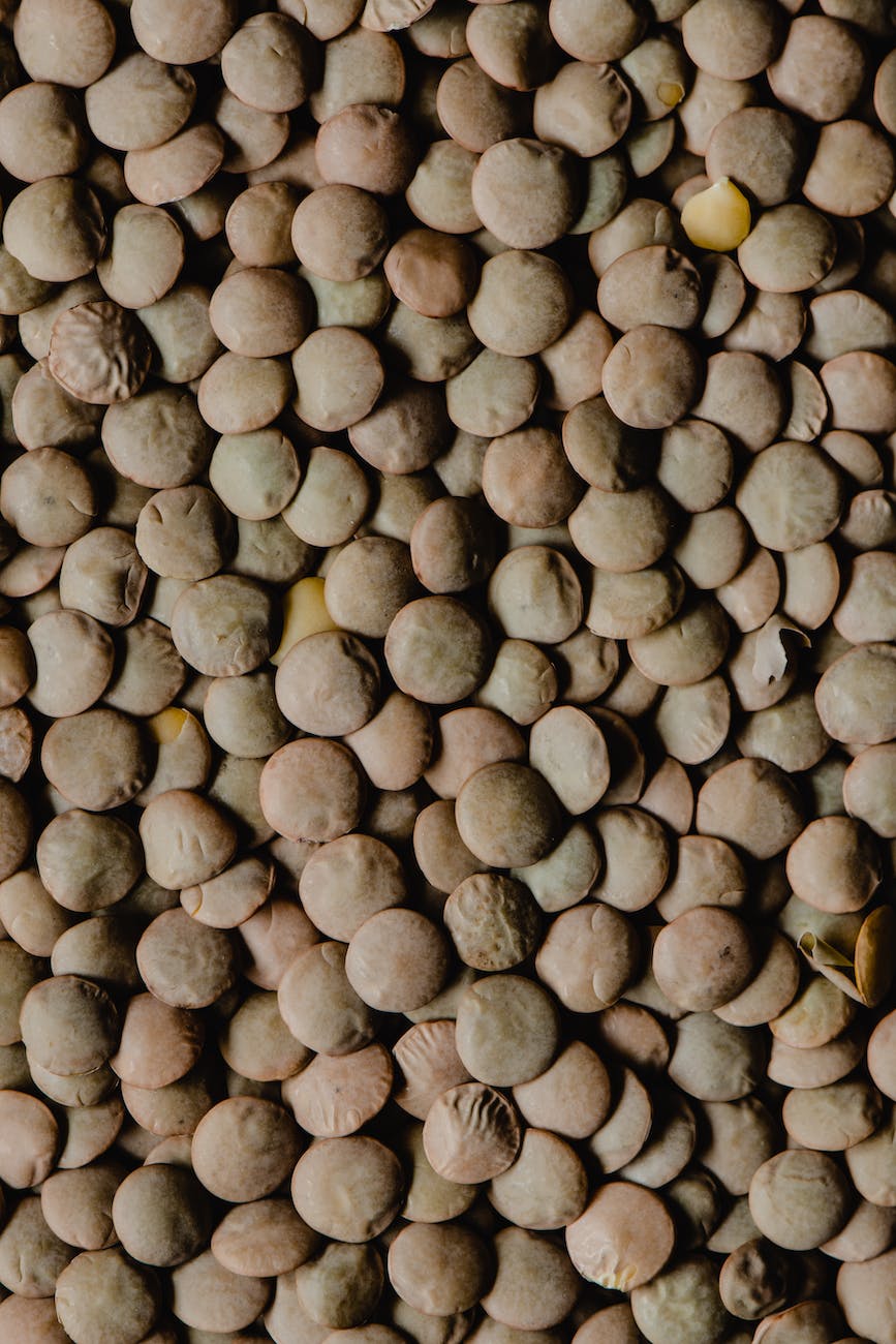 close up shot of lentils