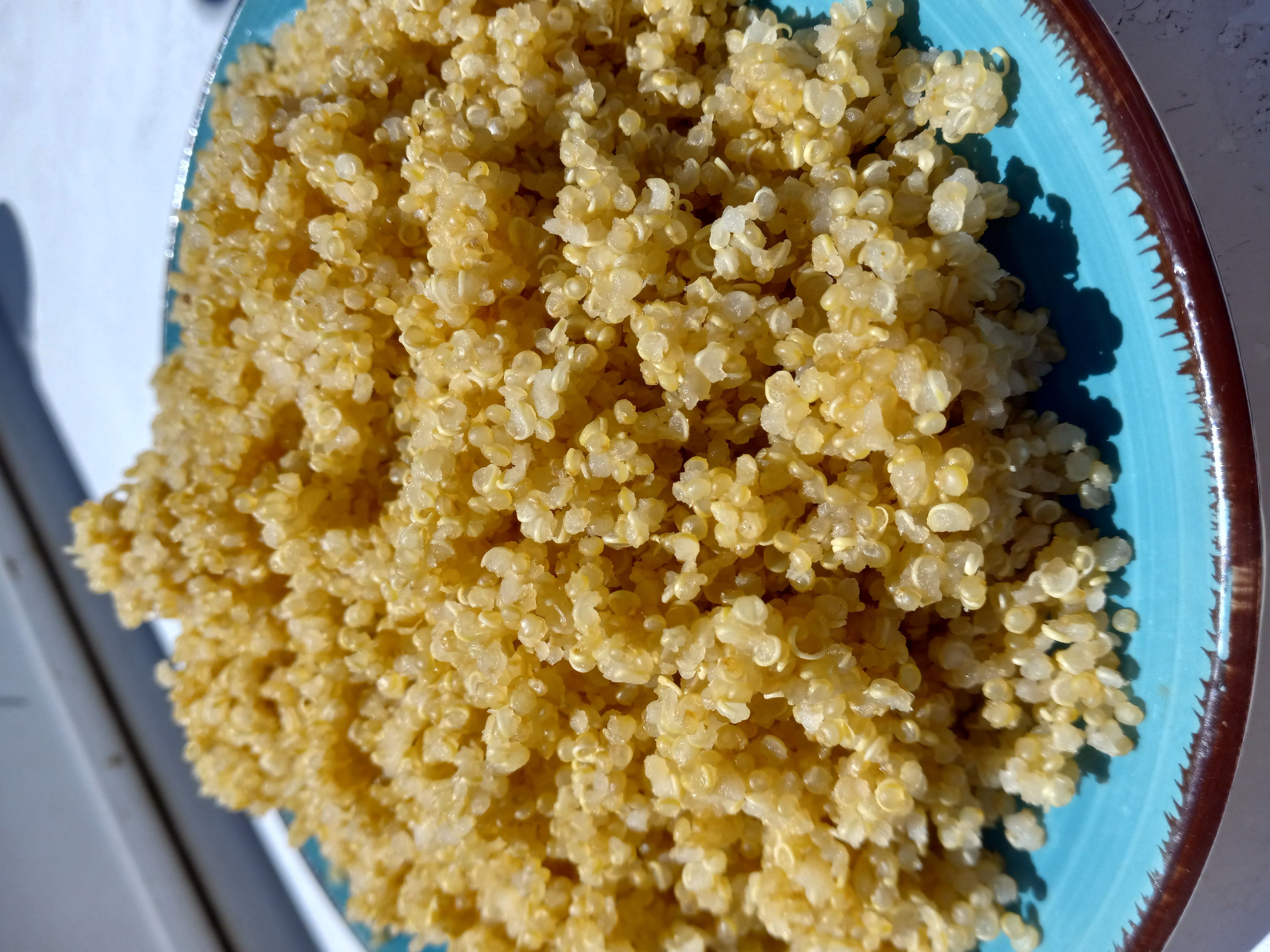 Cooked quinoa on a blue plate