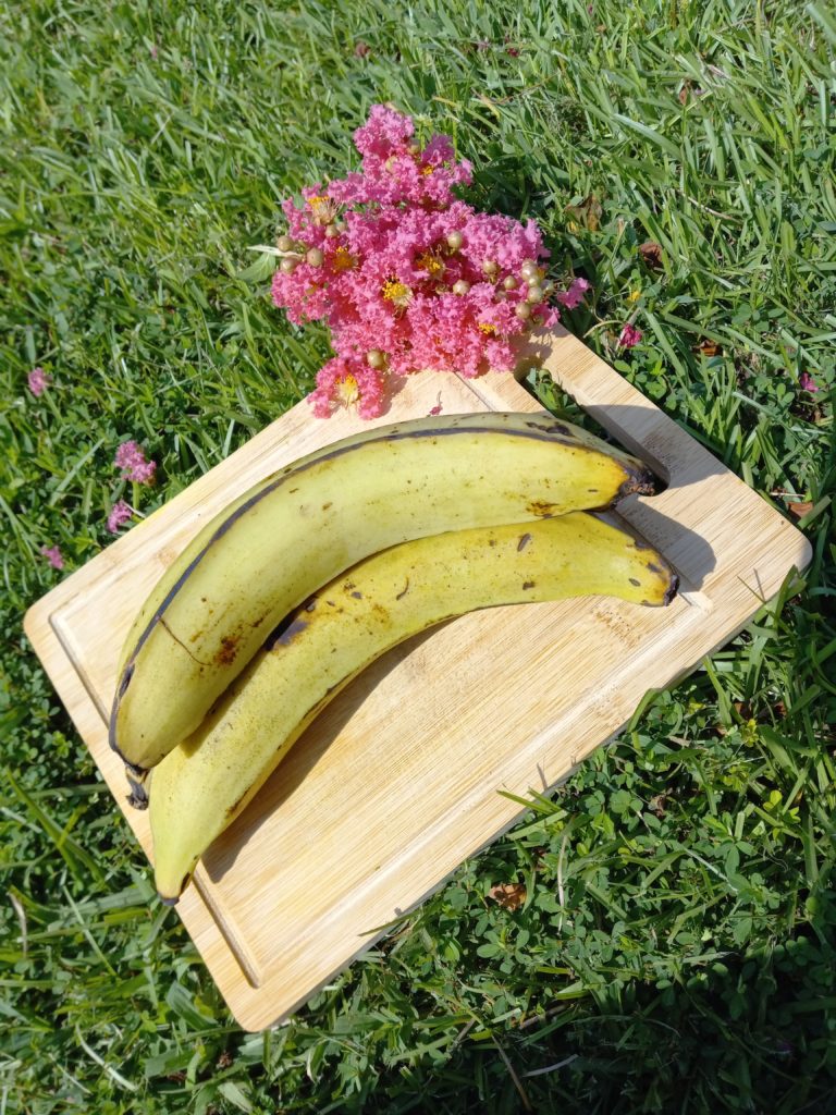 two green plantains on a wooden cutting board with a pink flower in the background