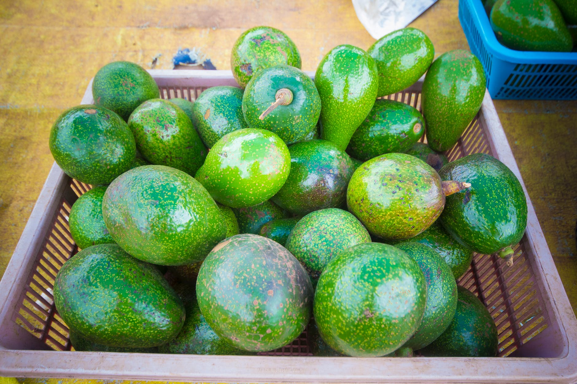 rectangular purple plastic basket full of green avocado fruits