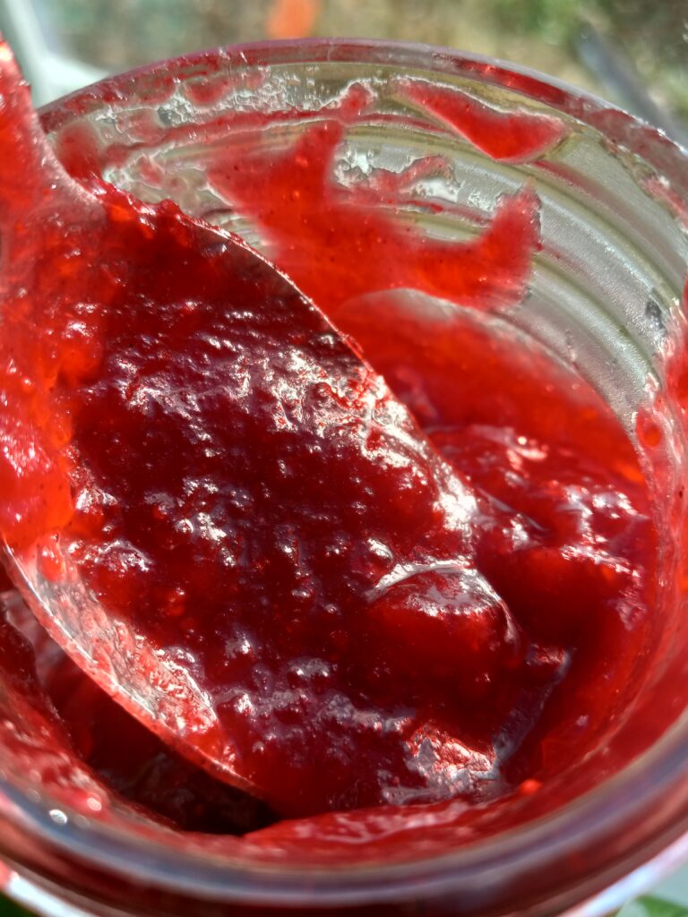 4-ingredient cranberry cinnamon jam