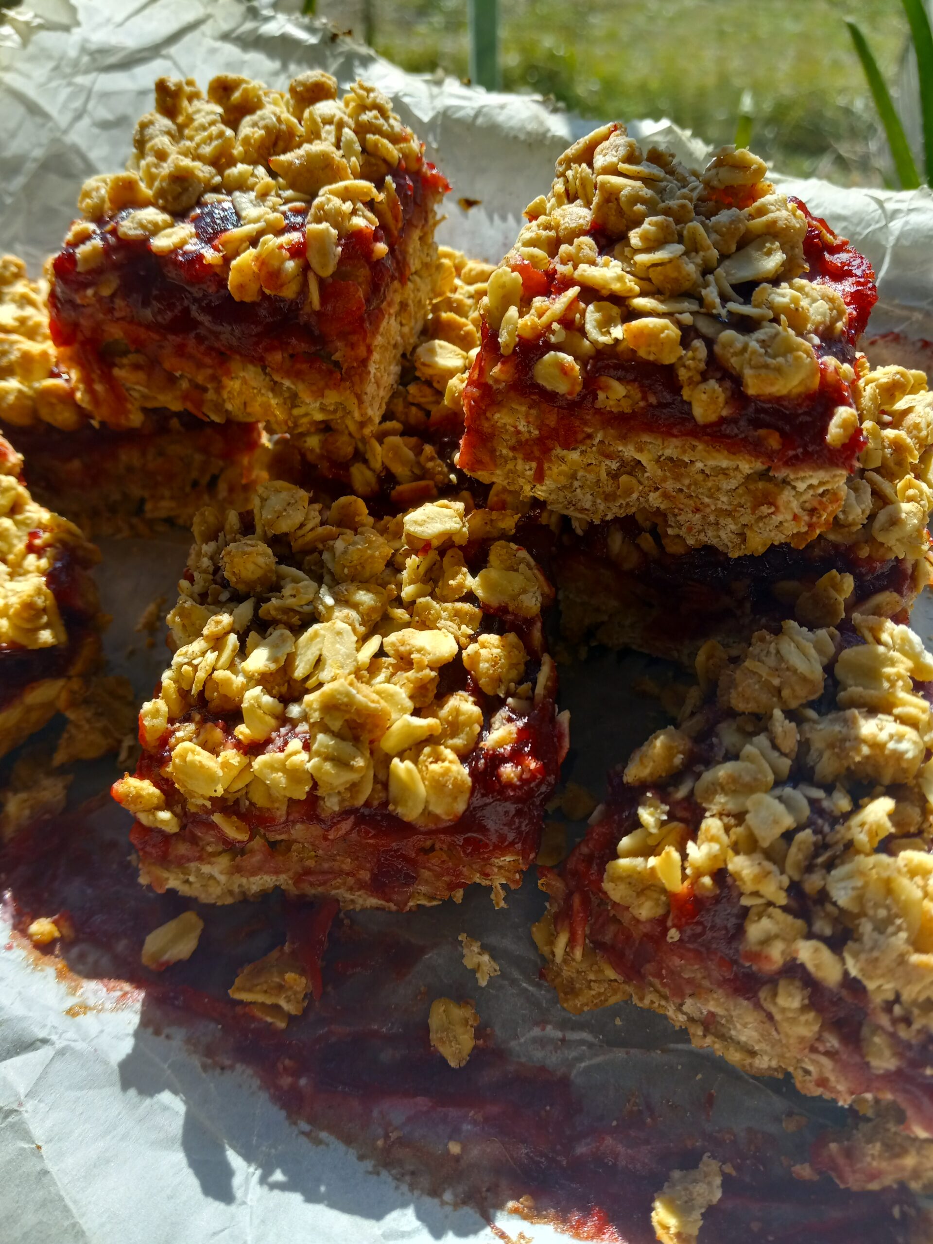 cranberry oat crumble bars