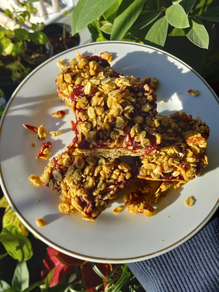 slices of cranberry oat crumble bar 