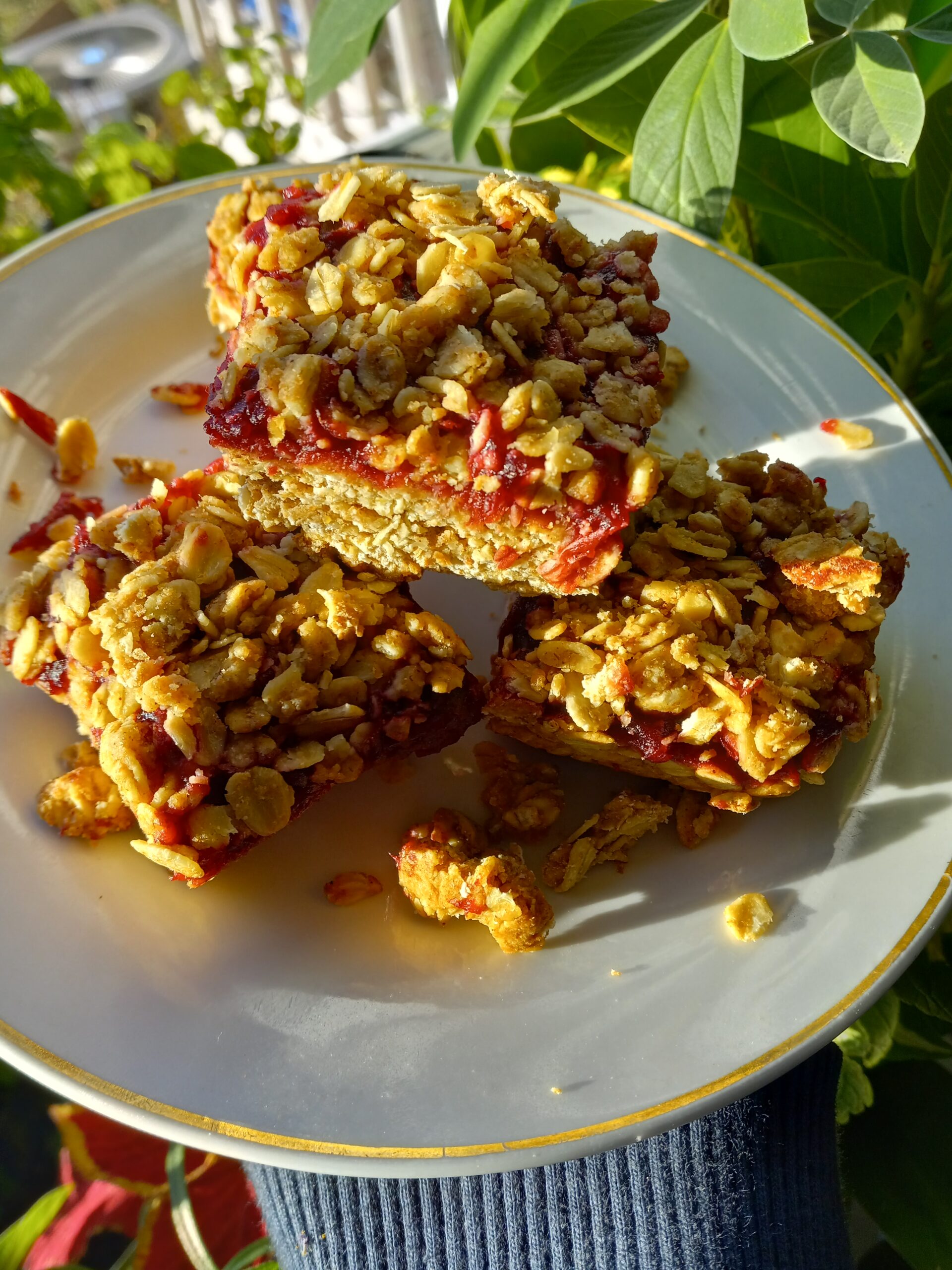 Cranberry Oat Crumble Bars