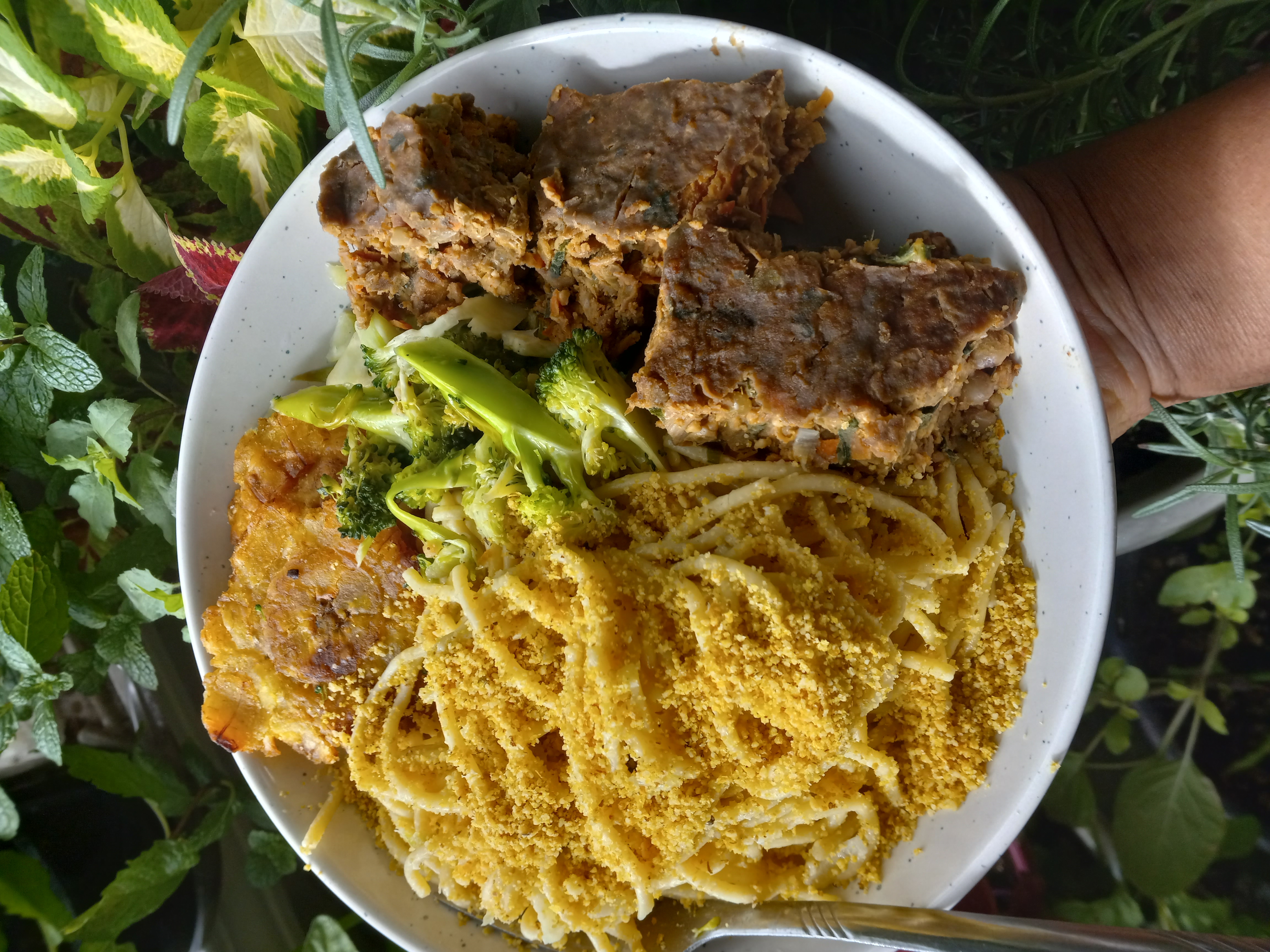 Toasted Walnut & Nutritional Yeast Topping on Spaghetti, Tostones, Steamed Broccoli, and Lentil Loaf 
