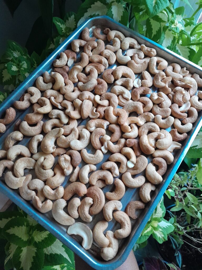 toasted cashews on a metal pan