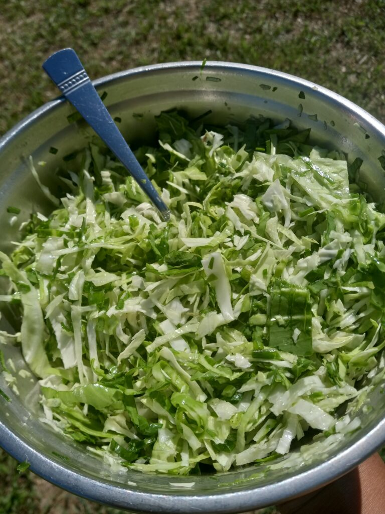 close up picture of raw cabbage slaw in a metal bowl with a fork in the middle