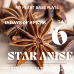 13 Days of Spices ~ Day 6 Star Anise