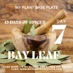 13 Days of Spices ~ Day 7 Bay Leaf