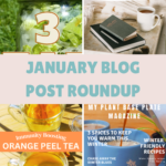 January Blog Post Roundup