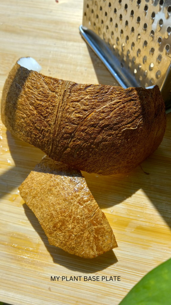 fresh coconut with a grater in the backgroundf