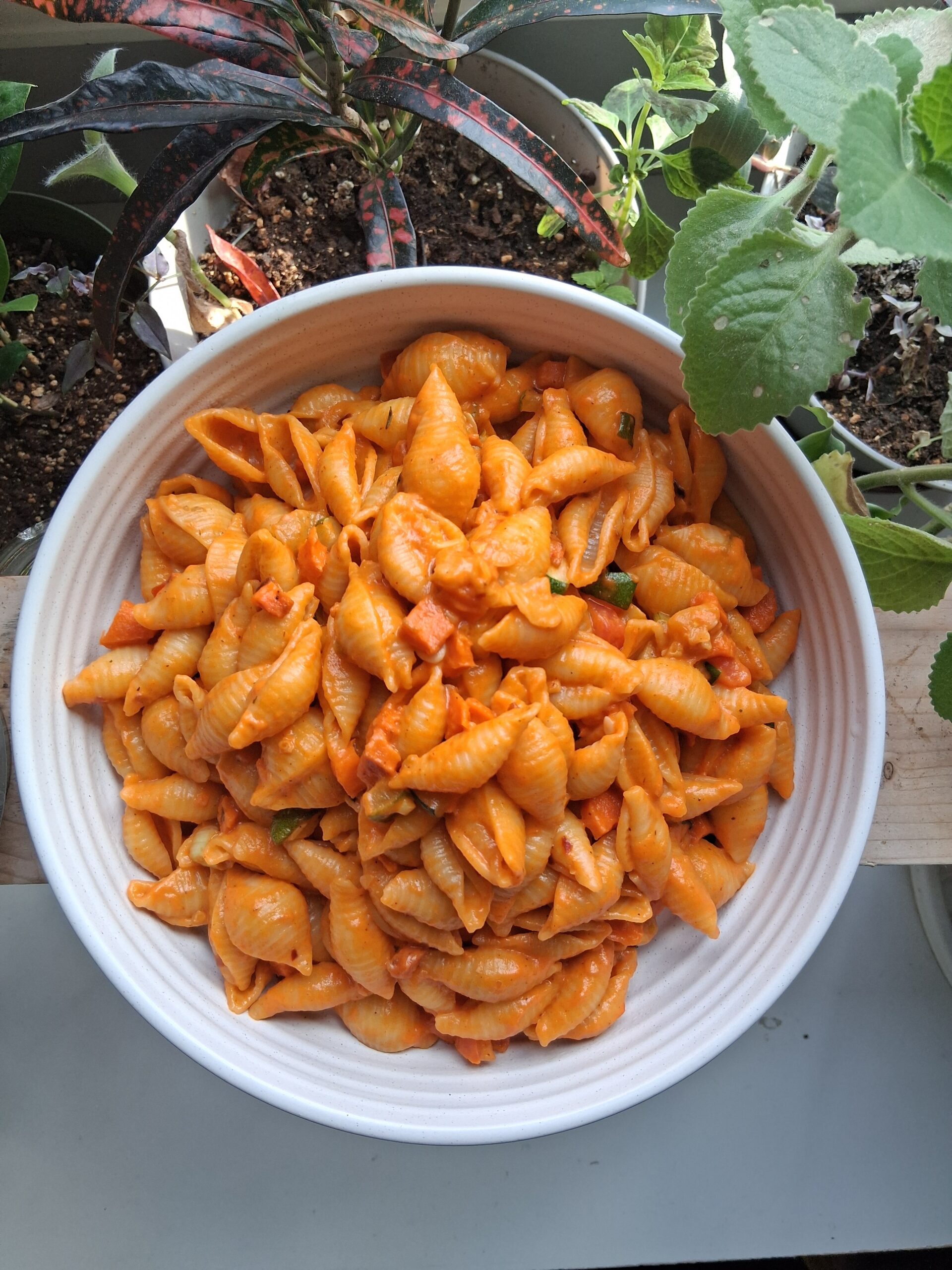 Warm Red Pepper Pasta Salad